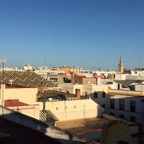 IMG_1439.JPG